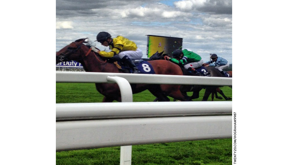 Horse race photograph