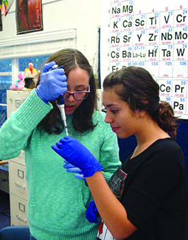 Ninth-grade students at Riverside STEM Academy work together in a STEM Research Methodologies class