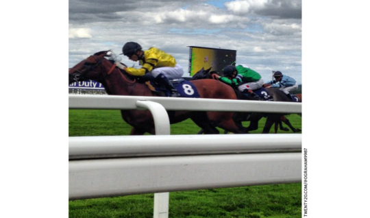 Horse race photograph