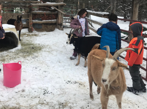 Students at the Roots and Wings Community School in Questa, New Mexico, enjoy outdoor time with goats at their rural charter school.