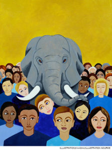 The Elephant in the Classroom