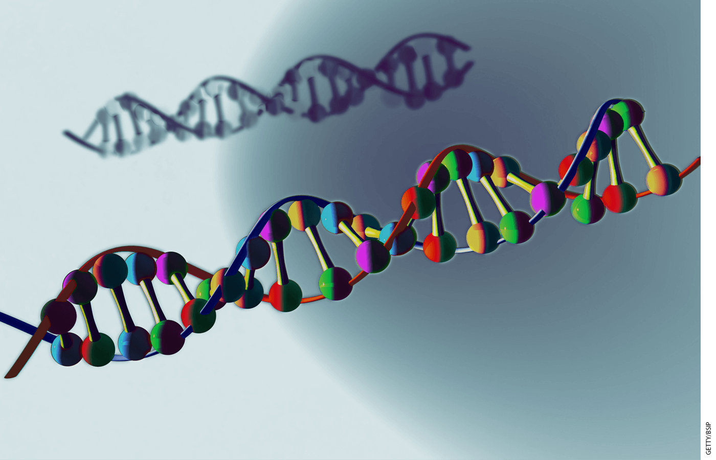 DNA helix strand