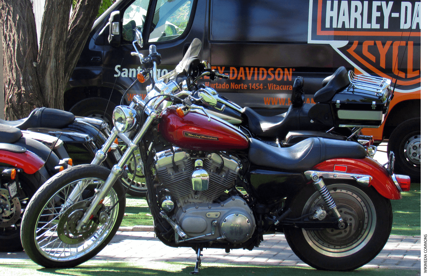 Photo of a Harley Davidson motorcycle