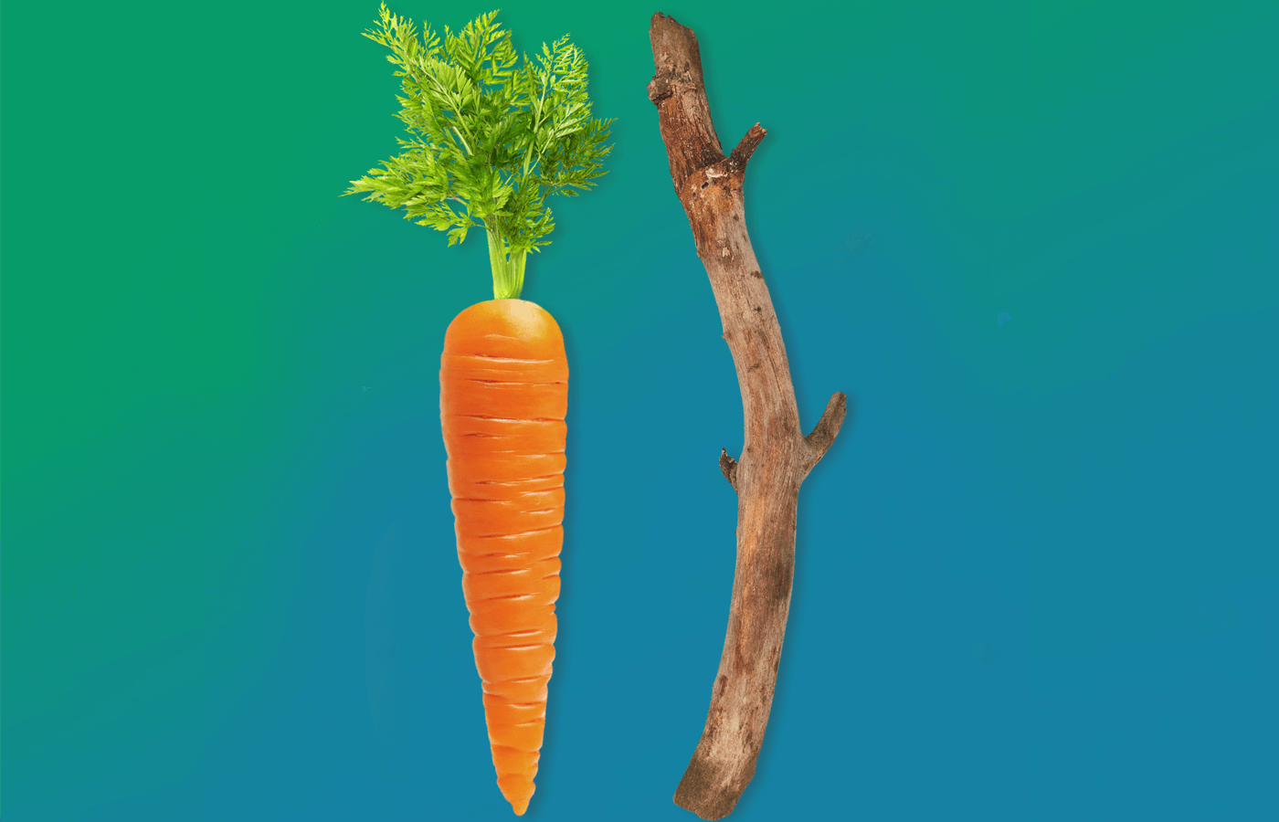 Illustration of a carrot and a stick