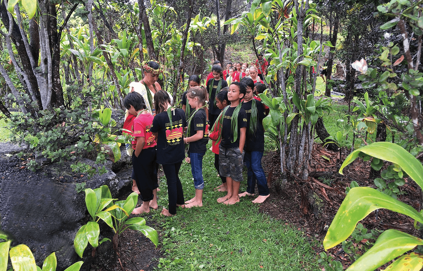 Students from the Kua O Ka Lā New Century Public Charter School in Hilo, Hawaii, led by their kumu (teacher), learn about the cultural and medicinal uses of native plants while exploring a local forest.