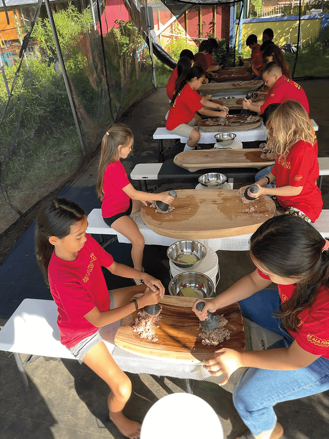 Charter students learn to make poi, the traditional staple food of Hawaii made from the taro plant. Poi is cooked, mashed, and fermented to taste.