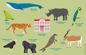 Are Charter Schools an Endangered Species?