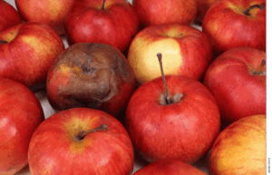 Debunking deBoer’s Education Reform Pessimism