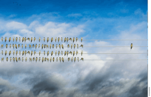 Do Campus Monocultures Create Groupthink?