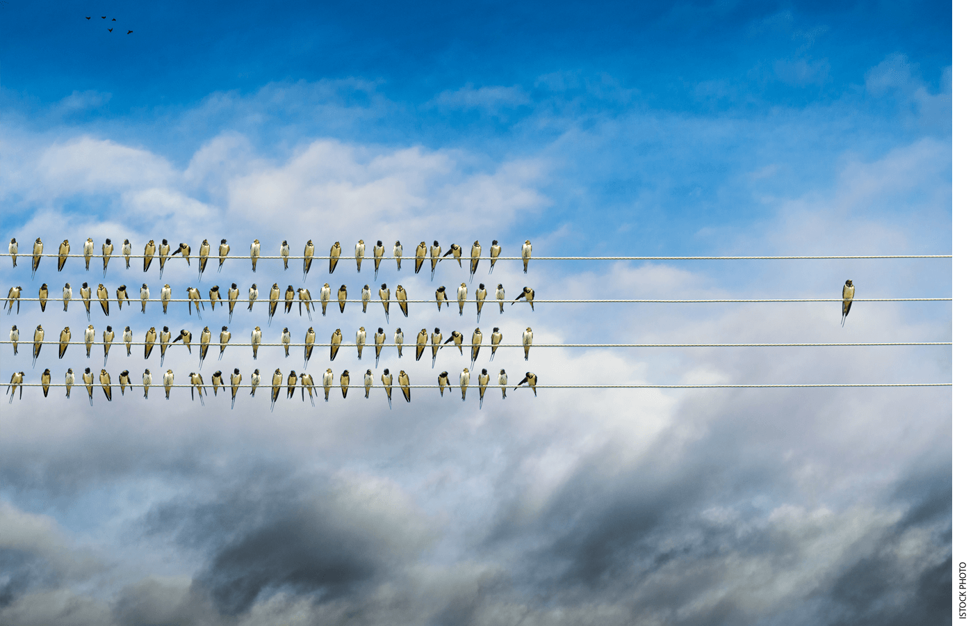 Do Campus Monocultures Create Groupthink?