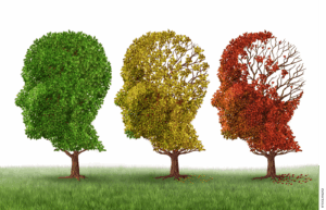 The Science of Memory Goes to School