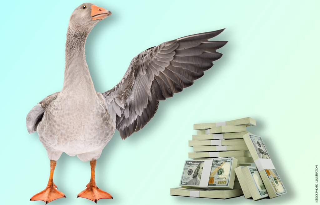 GSA Boss Kendi: “What Was Good for the MAGA Goose Is Now Good for the ...