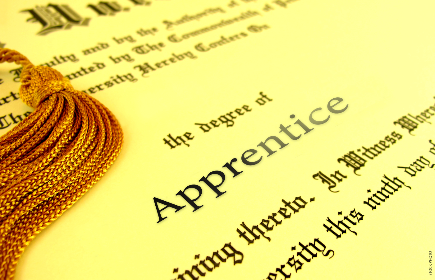 Image of a diploma reading "Degree of Apprentice"